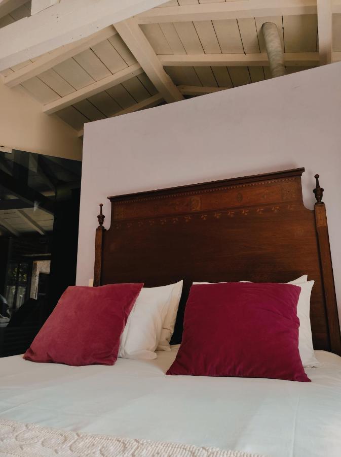 Casas Da Quinta Da Cancela Balugães Екстериор снимка