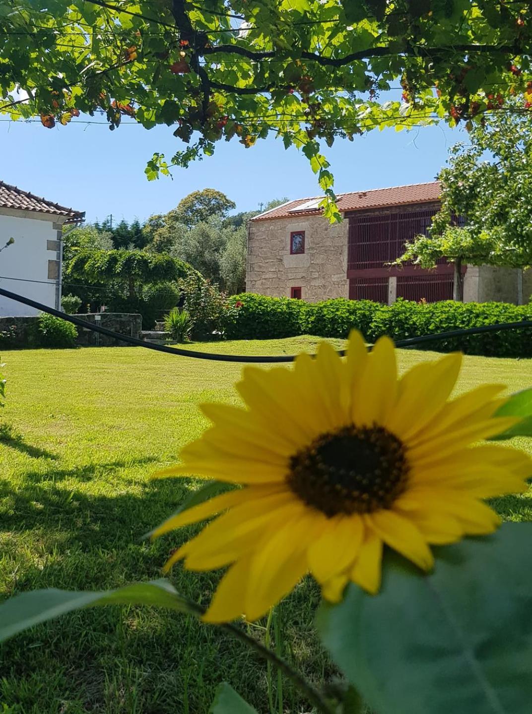 Casas Da Quinta Da Cancela Balugães Екстериор снимка